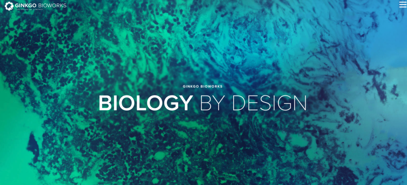 ginko bioworks biotech boston