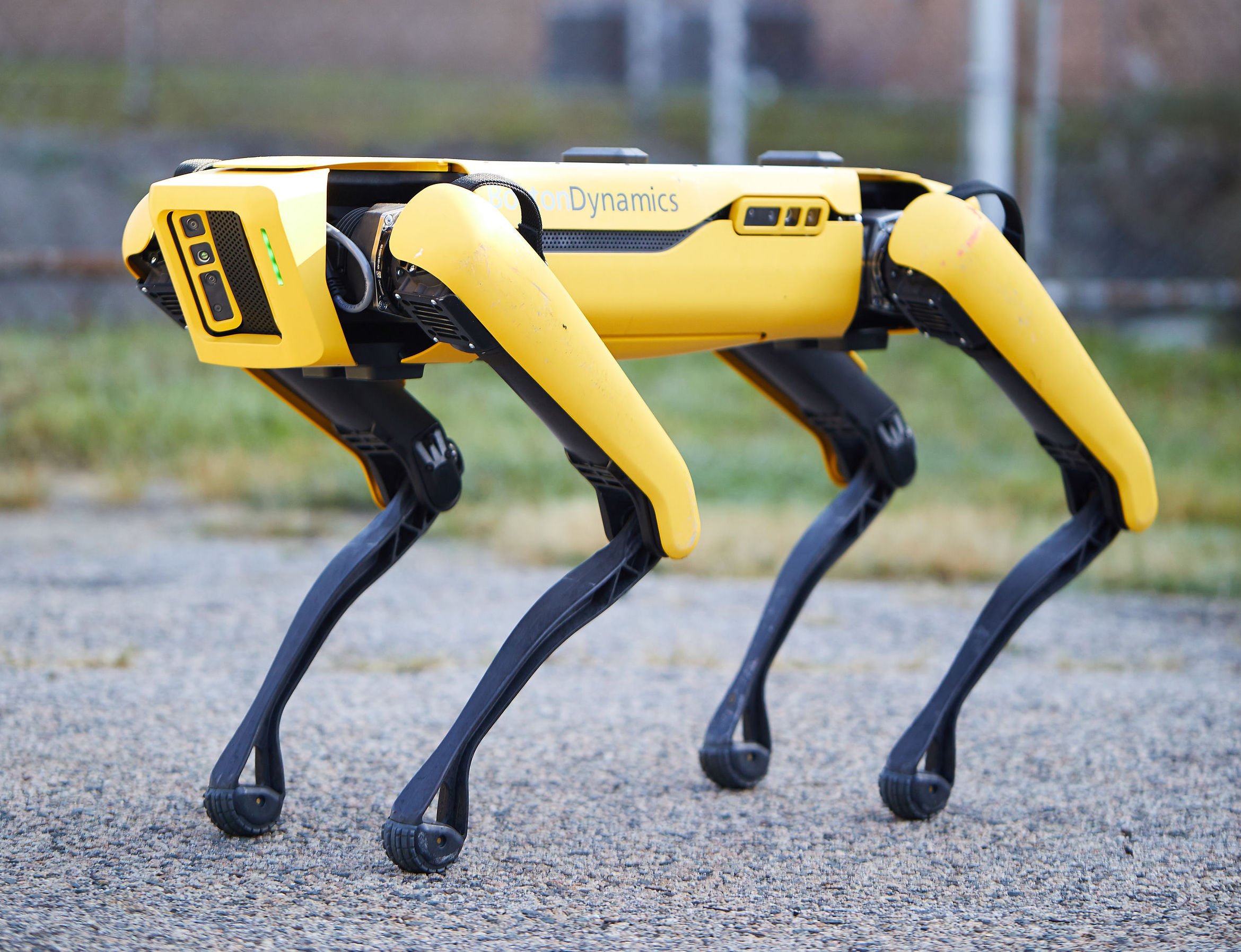 Boston Dynamics robot