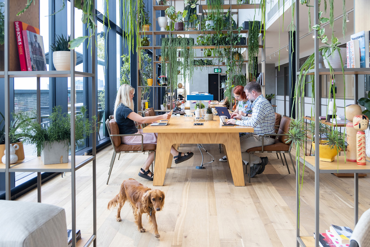 Ably Realtime team members working in the office