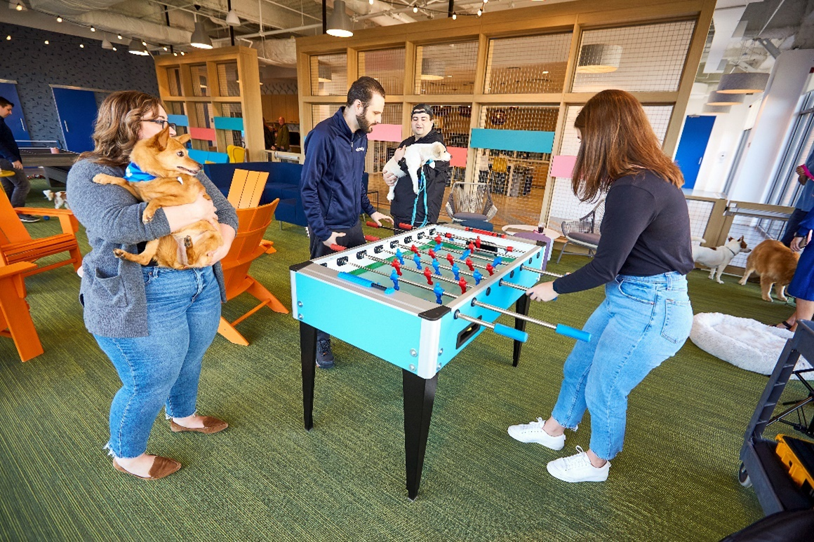 People playing games at Chewy's renovated Boston office while holding dogs