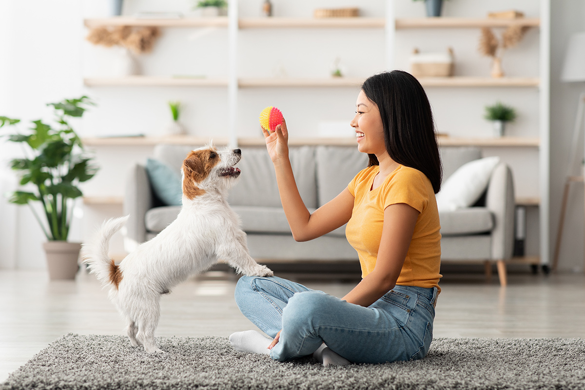 woman playing with a dog at home