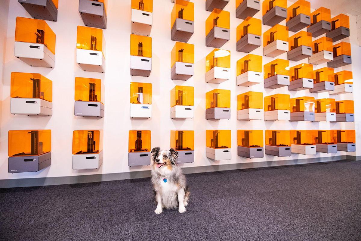 3D printers on the wall in the Formlabs office with a dog sitting in front of them