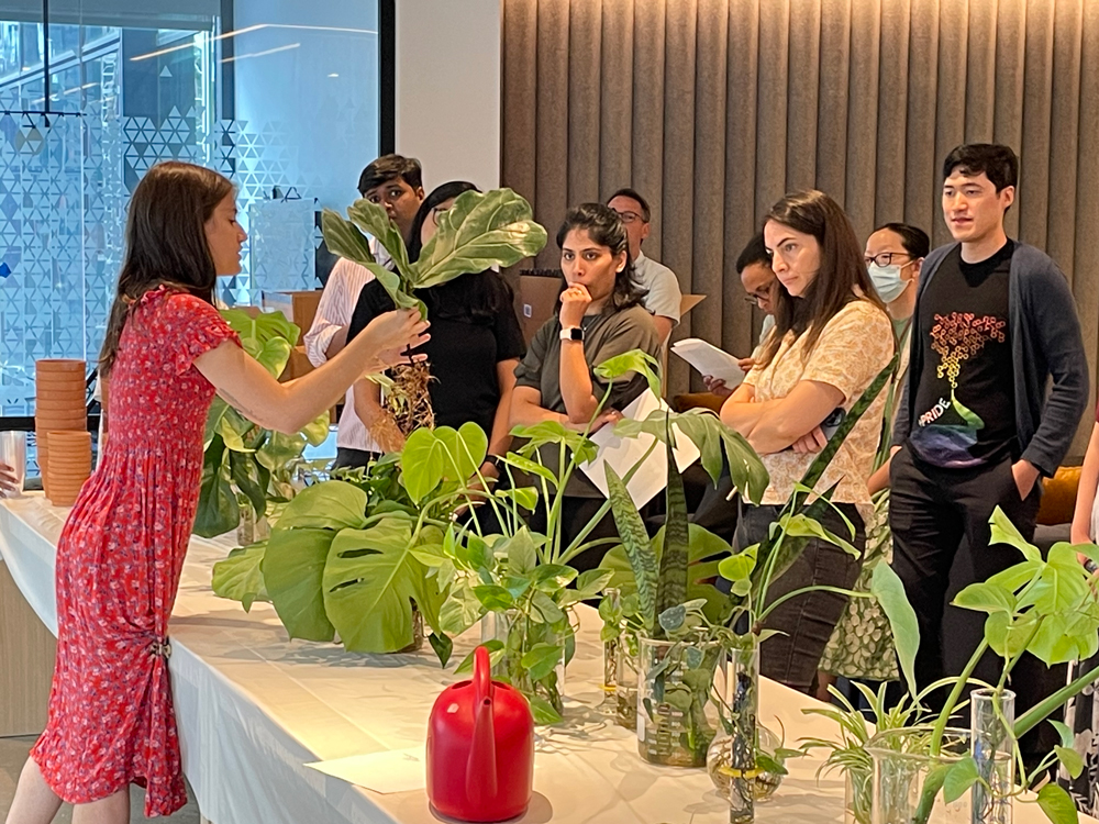 photo of educational event with plants