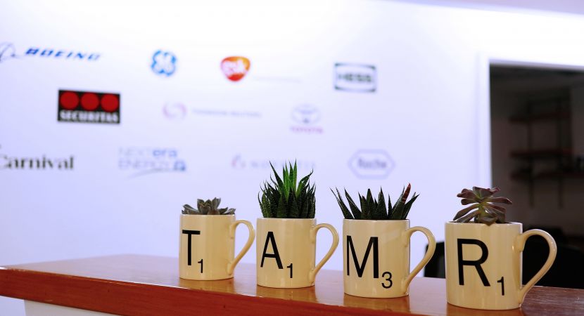 Tamr software companies Boston