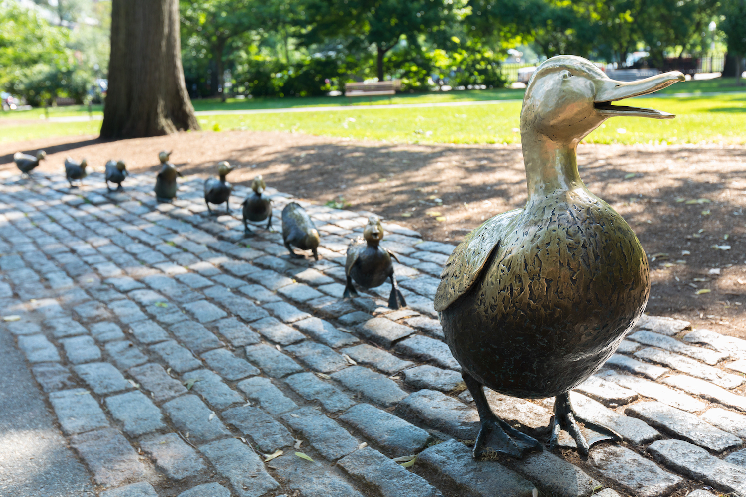 The Make Way For Ducklings sculptures at the Boston Public Garden.