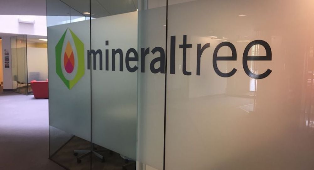 mineraltree fintech company boston