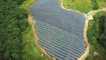 An aerial photograph of an agrivoltaic project in Rockport, Maine.