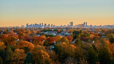 Photo: Shutterstock